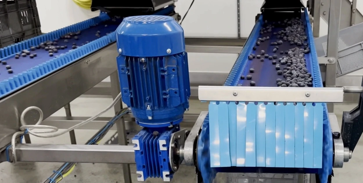 Automated berry packaging | Niverplast