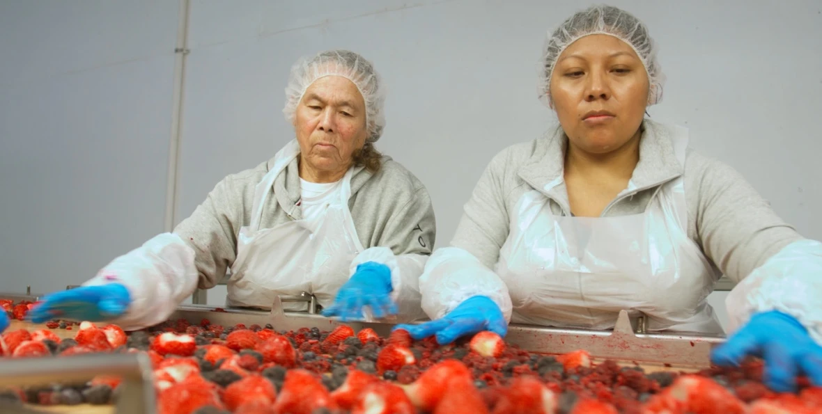 Packaging frozen fruits | Niverplast