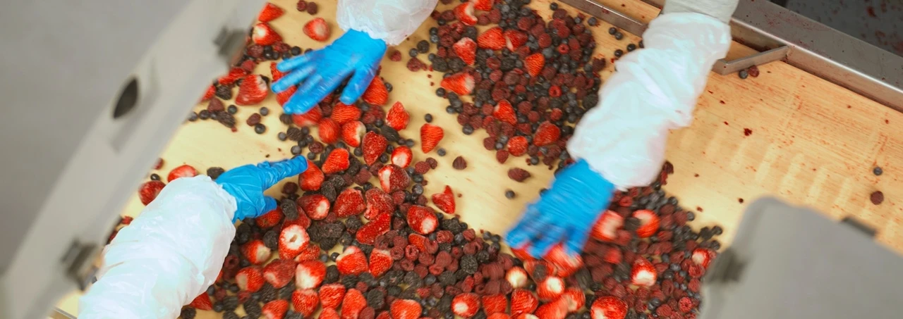 Fresh Berries, Packed with CombiPlast | Niverplast