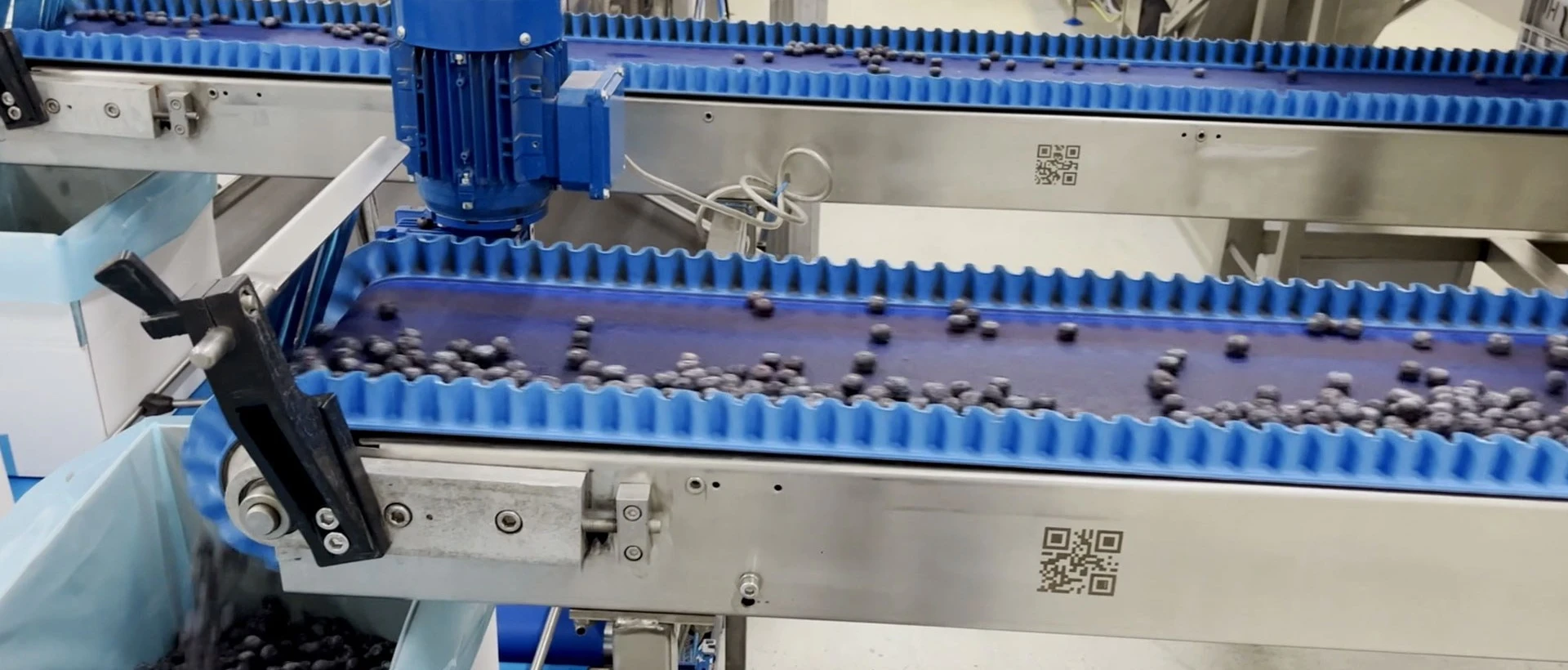 Niverplast | Berry packing services