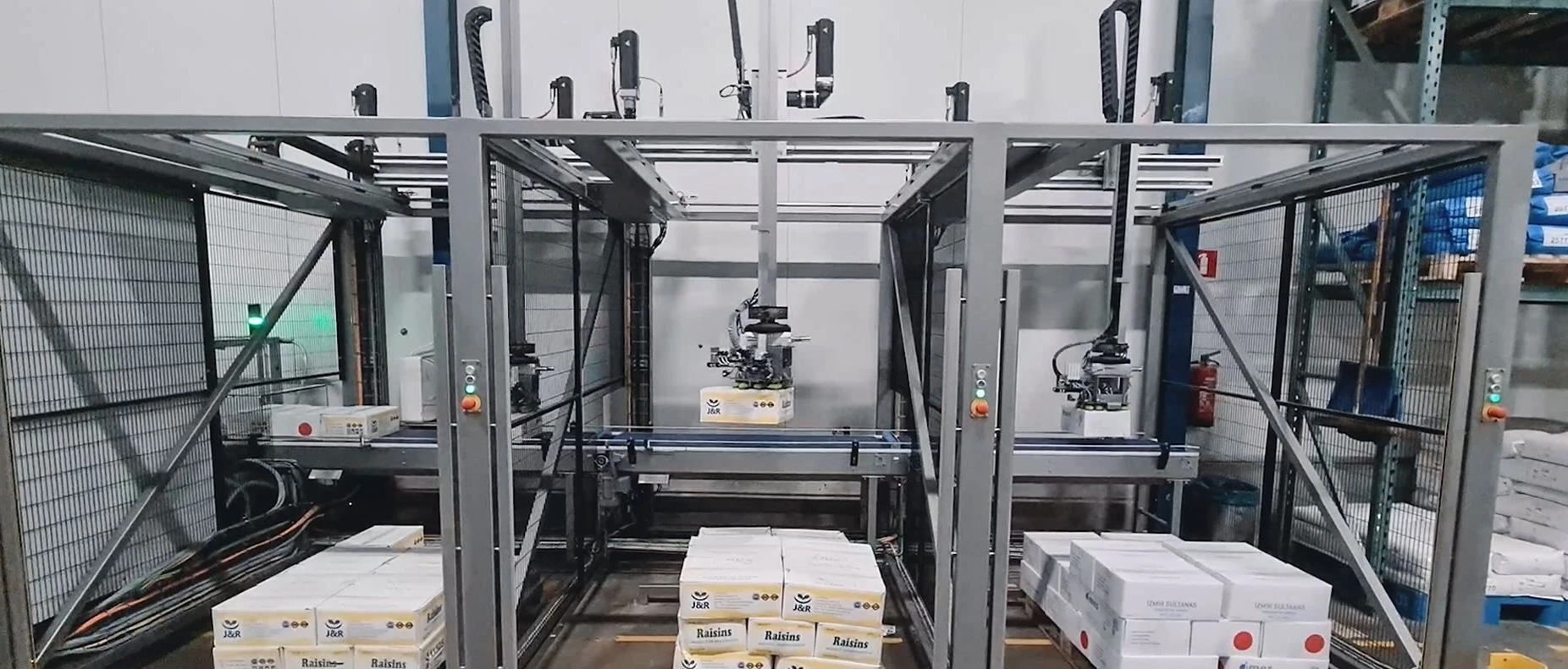 Unpacking boxes of raisins | Niverplast