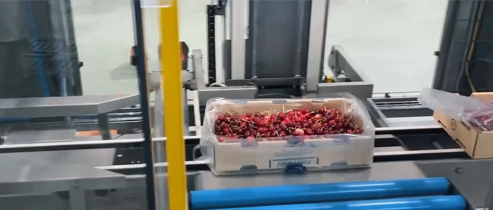 MAP sealing bags of cherries | Niverplast