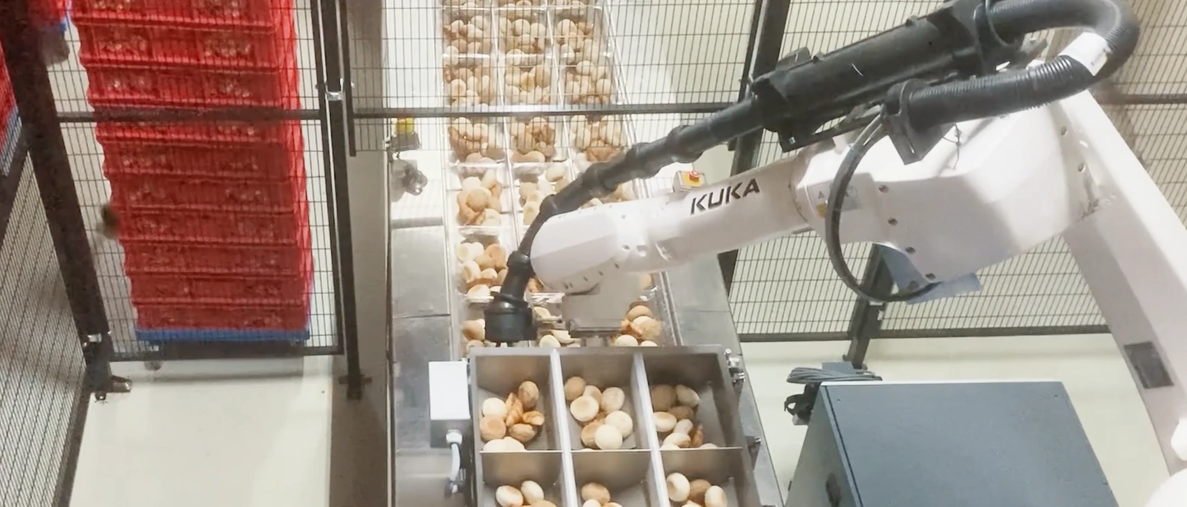 Automated packing of bread roll | Niverplast
