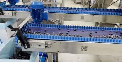 Niverplast | Berry packing services