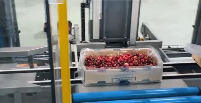 MAP sealing bags of cherries | Niverplast