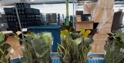 Case packing for intact results | Niverplast