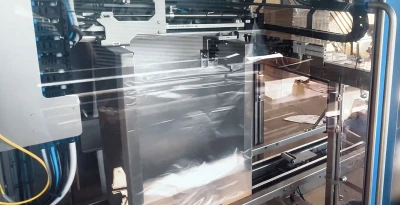 Banana bag-in-box packaging line | Niverplast