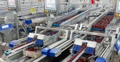 Niverplast | 7 CherrySeals running 24/7