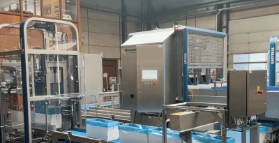 IQF bulk packaging line for fish | Niverplast