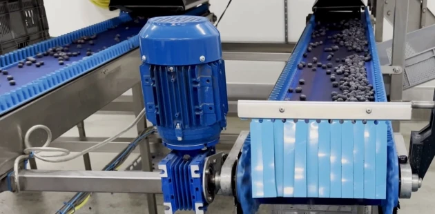 Automated berry packaging | Niverplast