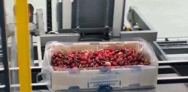 Automated Cherry Packaging | Niverplast