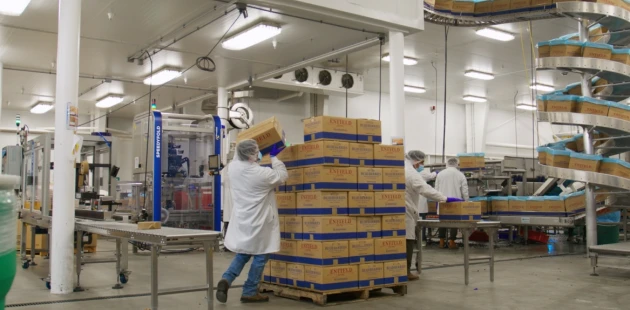 Harvesting efficiency | Niverplast