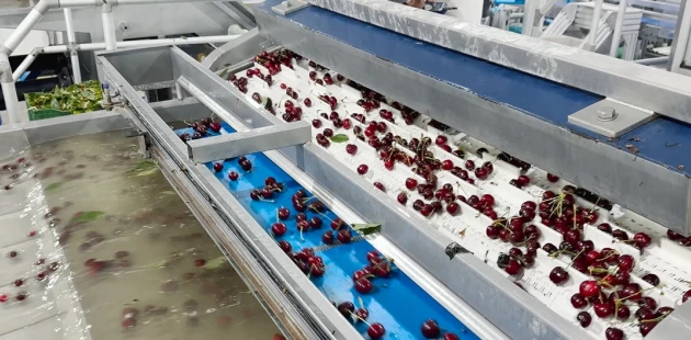 Cherry packaging line | Niverplast