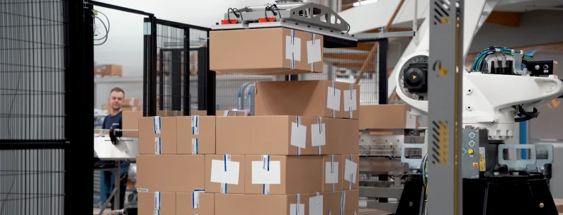 Robotic palletizer | Niverplast