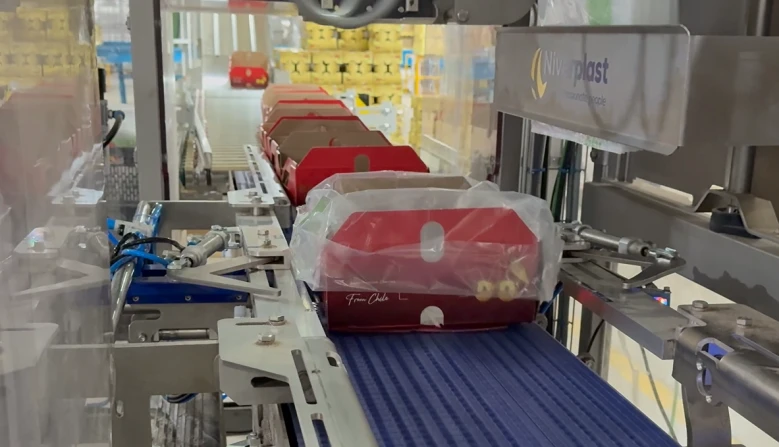 Schermafbeelding 2026 03 03 094804