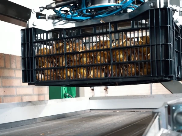 Filling flower bulbs bag-in-box | Niverplast