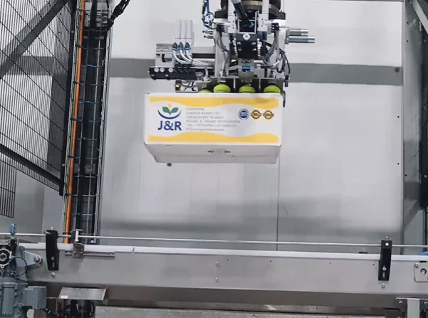 Unpacking boxes of raisins | Niverplast