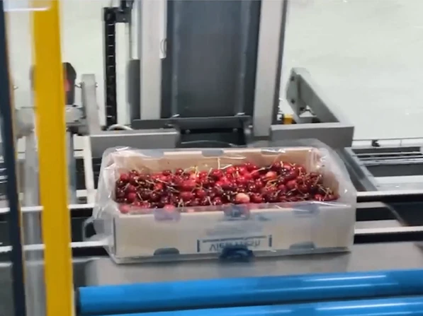 Automated Cherry Packaging | Niverplast