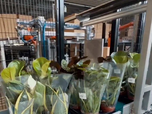 Packaging plants touch-free | Niverplast