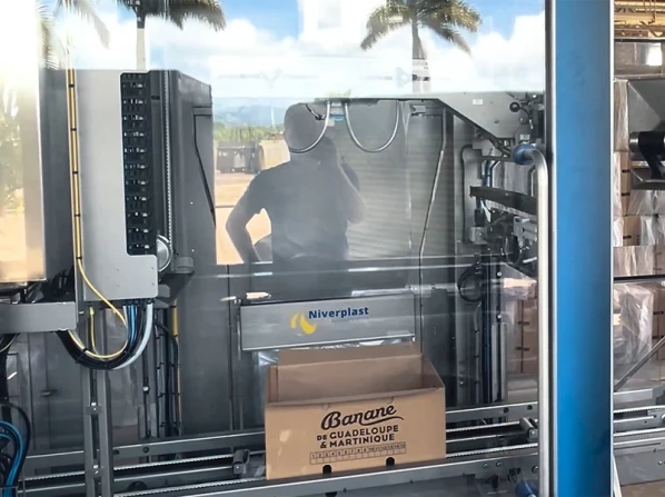 Banana bag-in-box packaging line | Niverplast