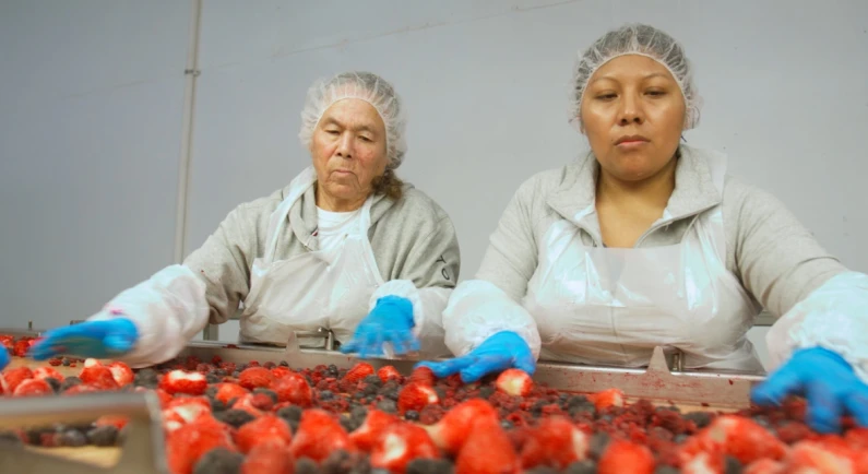 Packaging frozen fruits | Niverplast