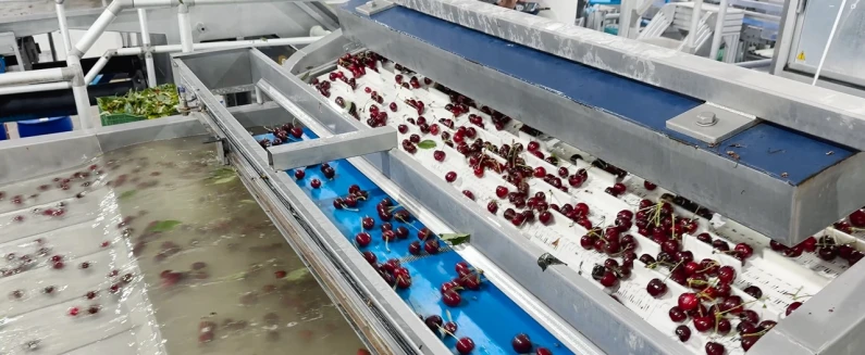 Cherry packaging line | Niverplast