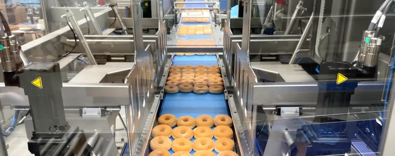 Aligning & packaging delicate products | Niverplast