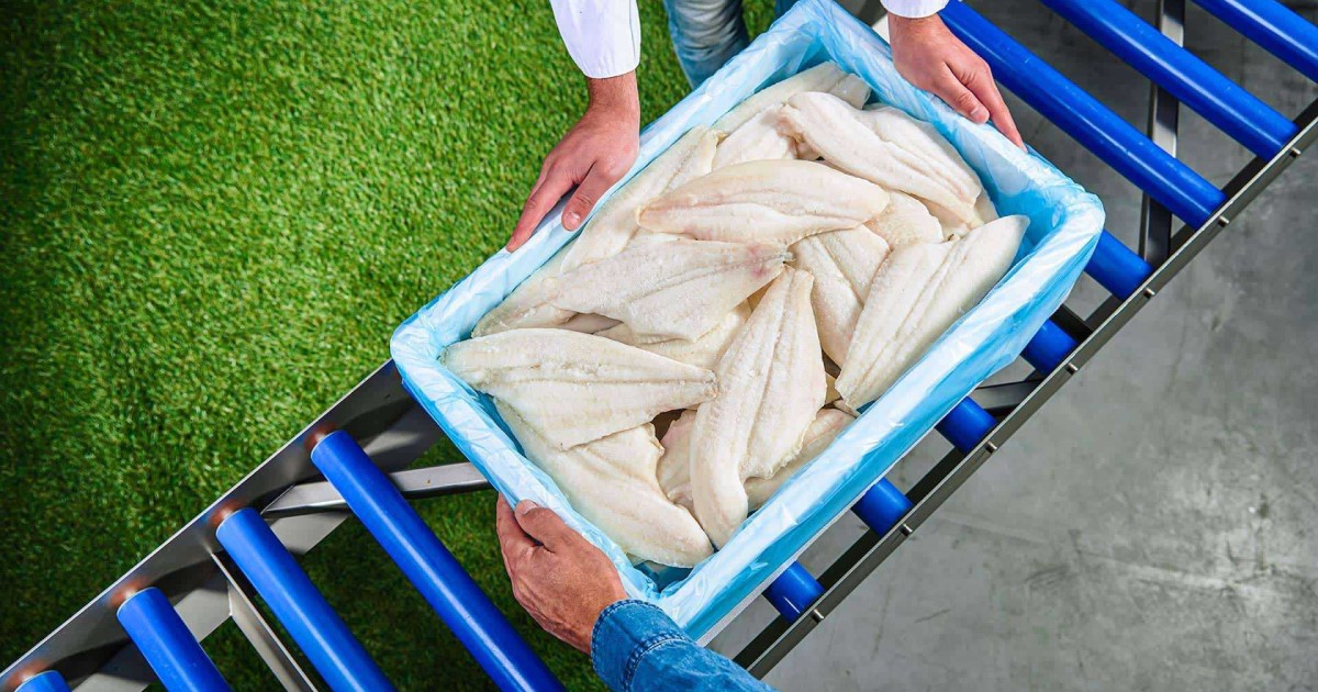 Bag placing in tempex boxes - Niverplast NA Inc.