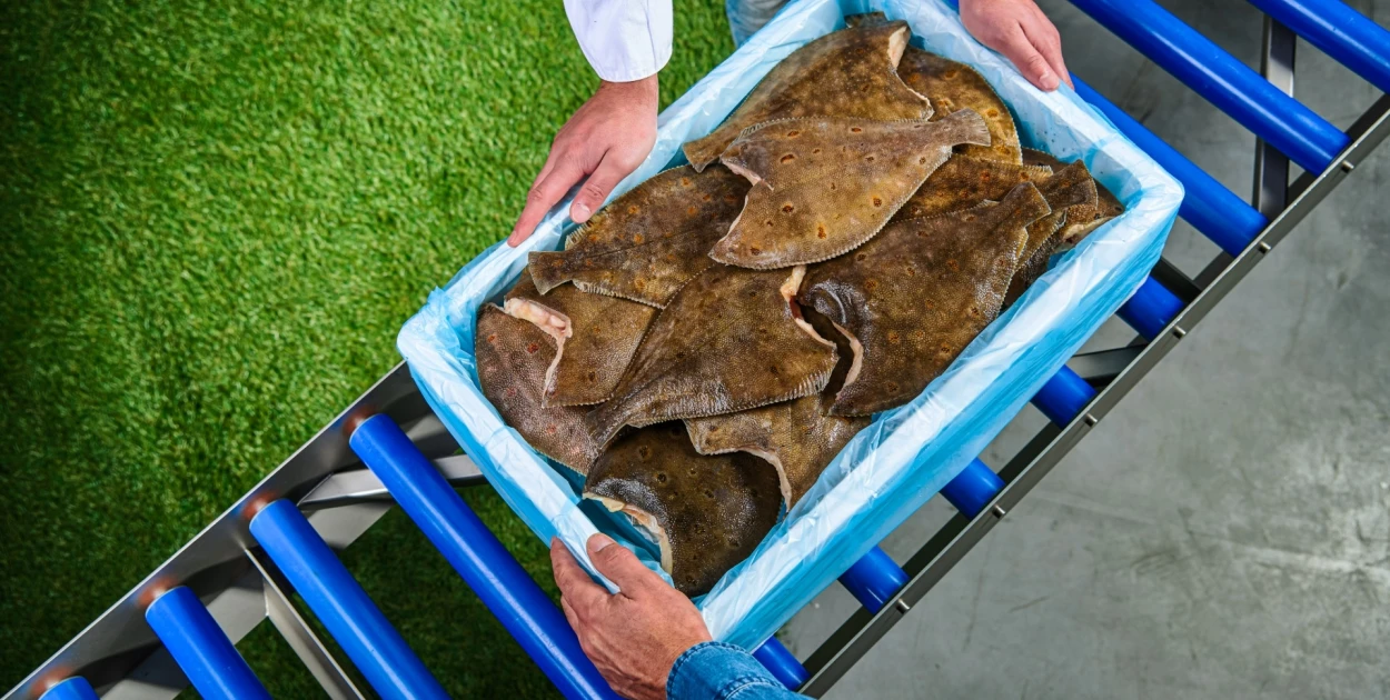 Fish Packaging Niverplast