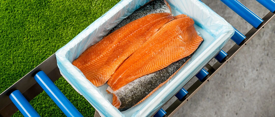 Fish packaging salmon bag in box