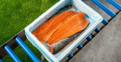 Fish packaging salmon bag in box