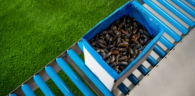 Mussels Bag in box Niverplast