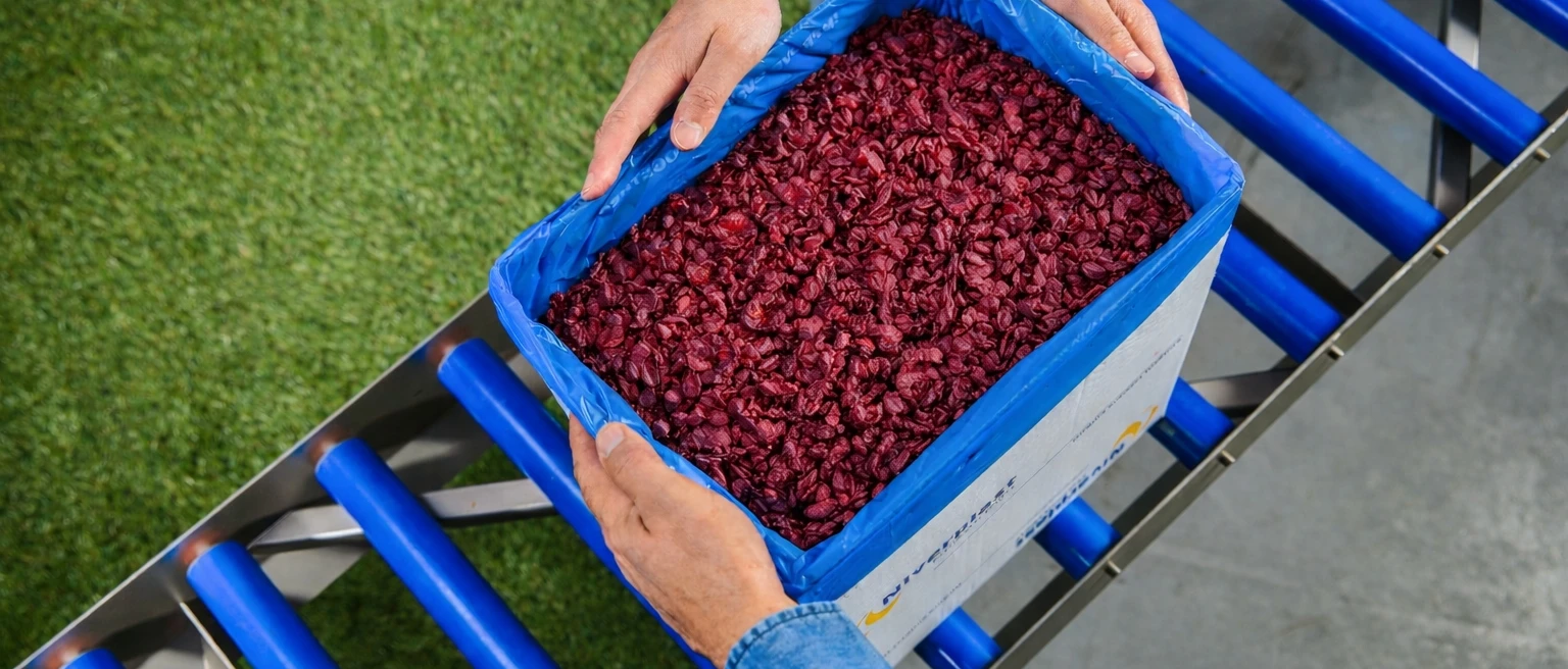 Dried Cranberries Bag in Box