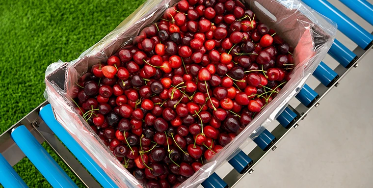 Cherry Packaging Machine