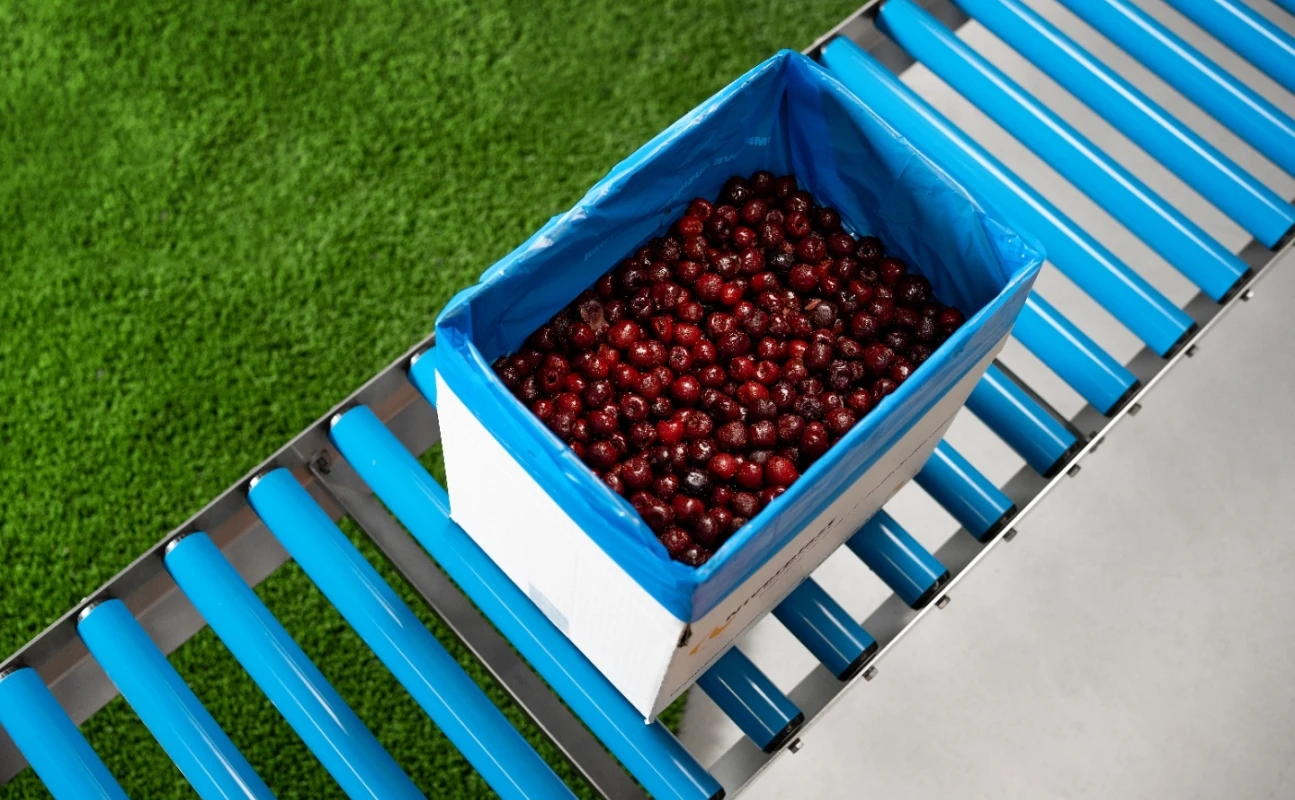 Cherries Bag in box