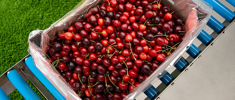 Cherry Packaging Machine