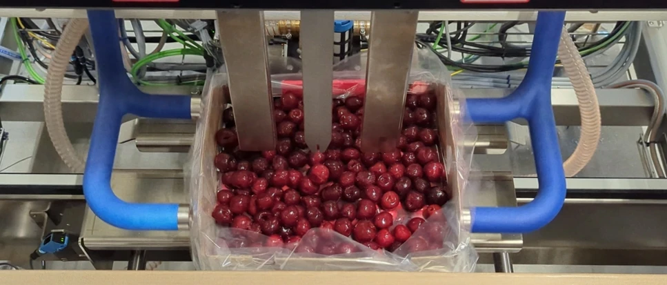 Cherries Niverplast SG122703