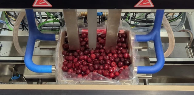 Cherries Niverplast SG122703