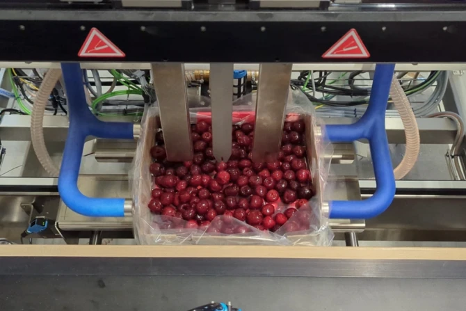 Cherries Niverplast SG122703