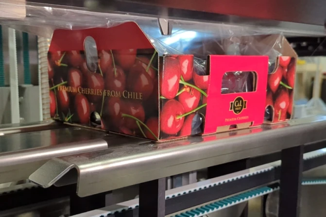 Cherries Niverplast SG122615