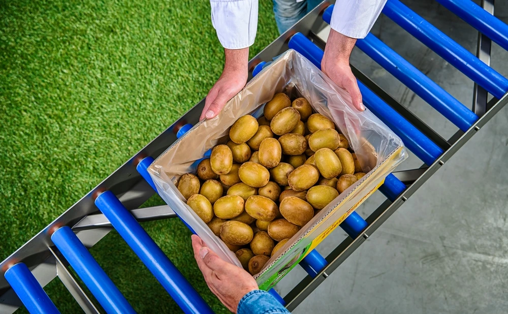 NIVERPLAST FRUITS VEGETABLES 04 HANDS web