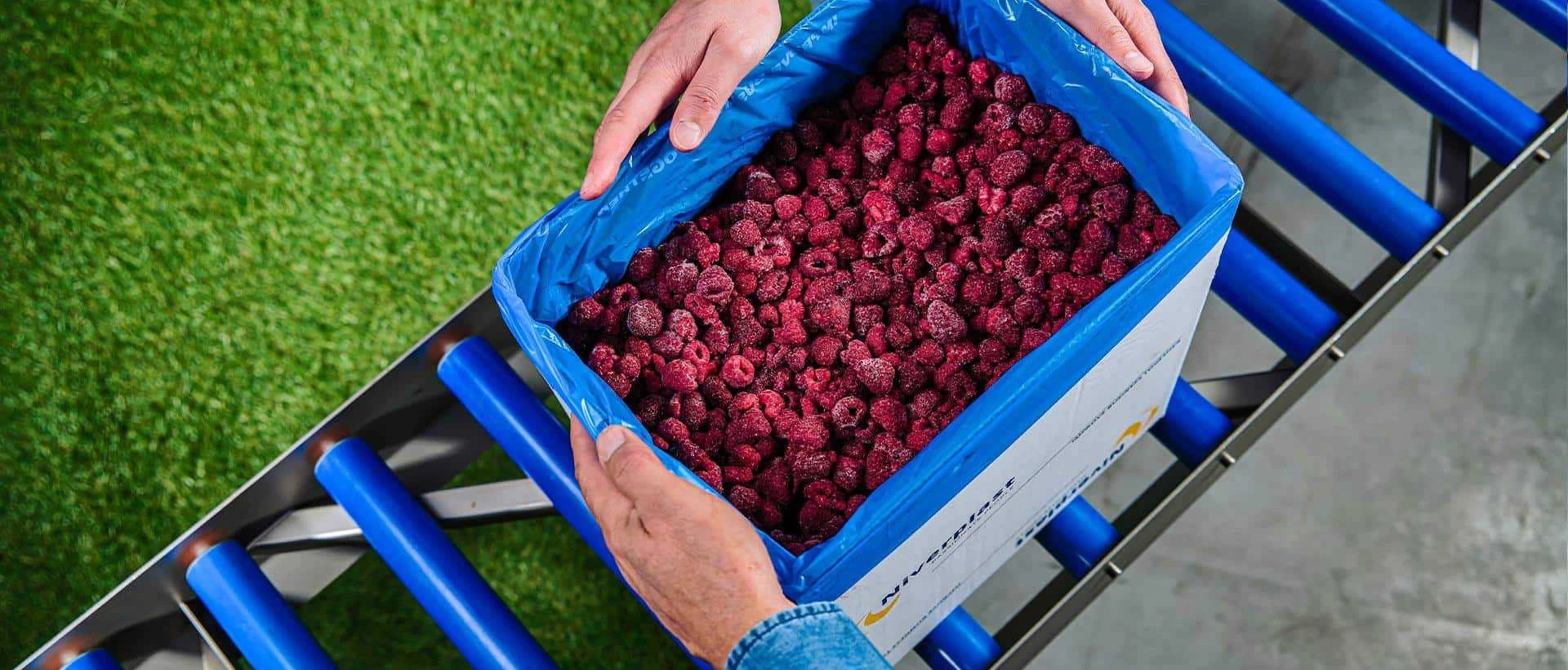 NIVERPLAST FRUIT VEGETABLES 01 verkleind