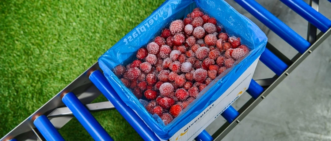 NIVERPLAST frozen strawberry