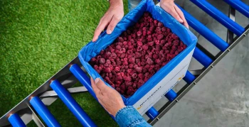 NIVERPLAST FRUIT VEGETABLES 01 verkleind