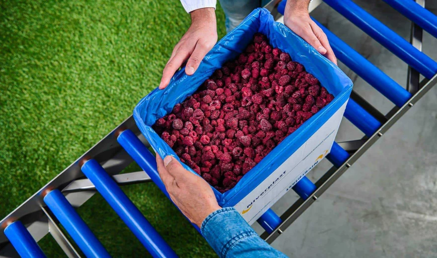 NIVERPLAST FRUIT VEGETABLES 01 verkleind