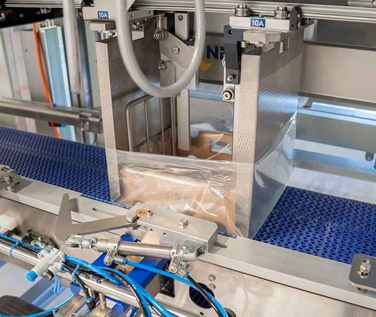 Bag Placing cherryplast machine