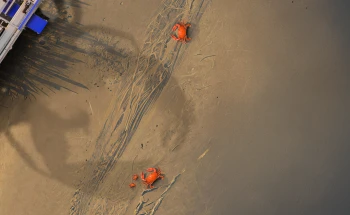 Header Holy Crab News