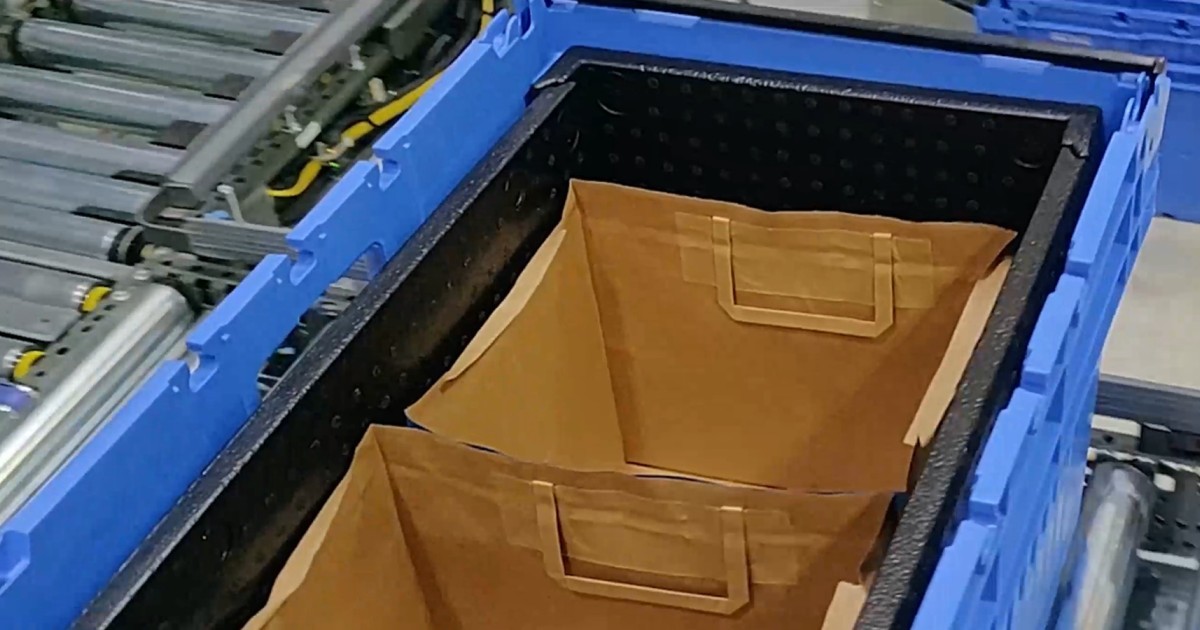 Erecting inlays and placing paper bags automatically - Niverplast NA Inc.