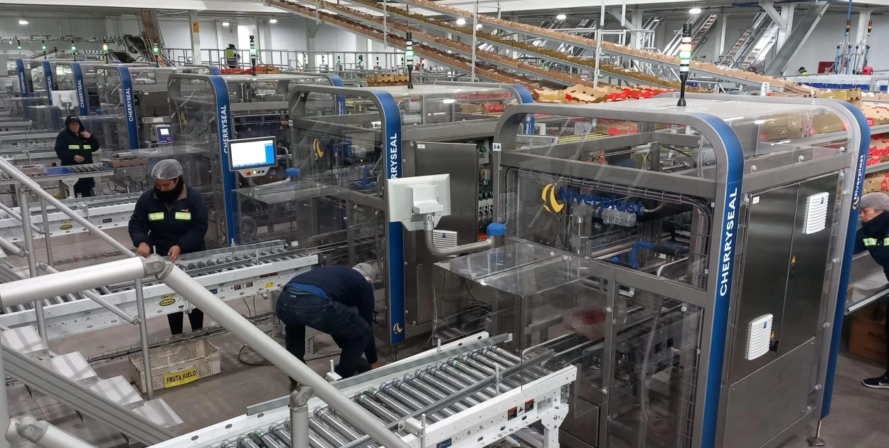 CherrySeal | Cherry packaging |  Niverplast