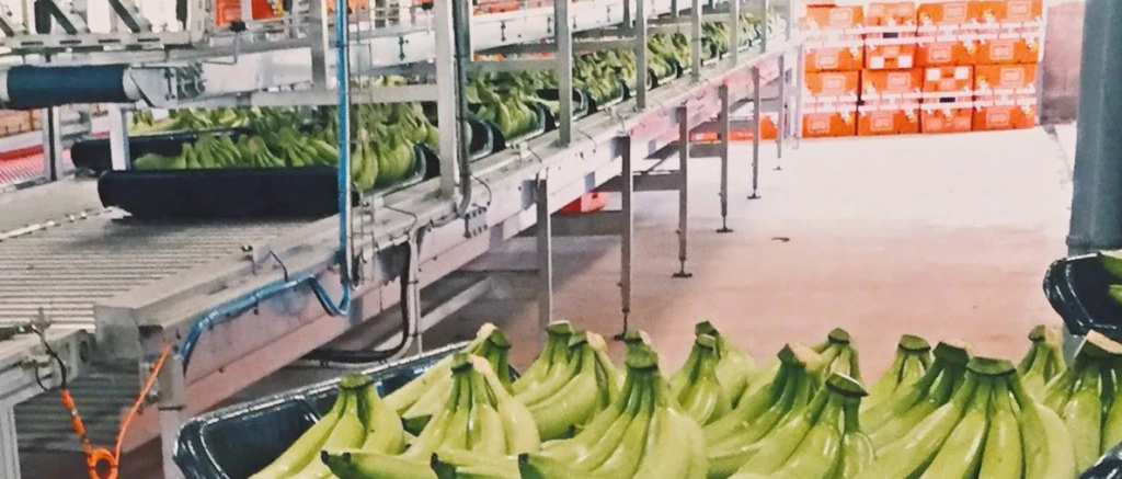 Niverplast Martinique large